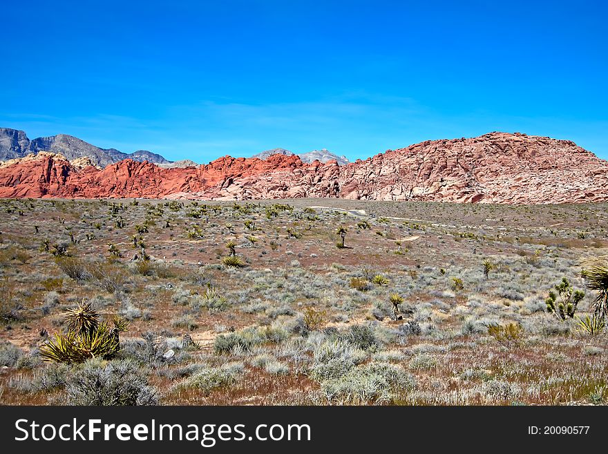View of dry landscape and red rock formations of the Mojave Desert. View of dry landscape and red rock formations of the Mojave Desert..