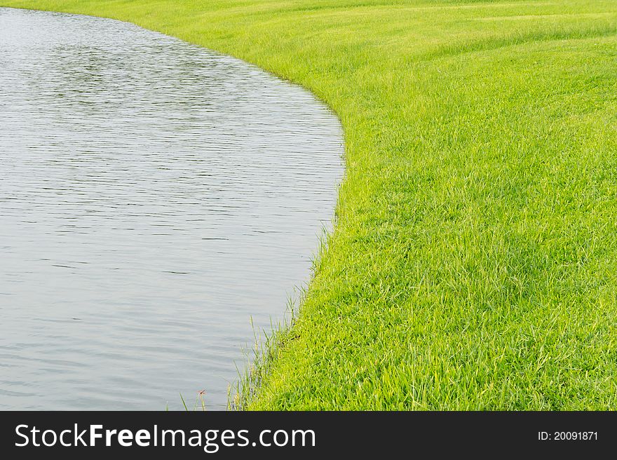 Grass field with curved pond in the sunny day