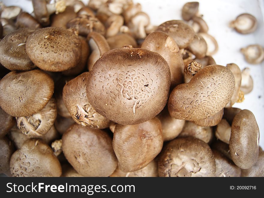 Mushrooms, fresh mushrooms, was put in the market to sell.