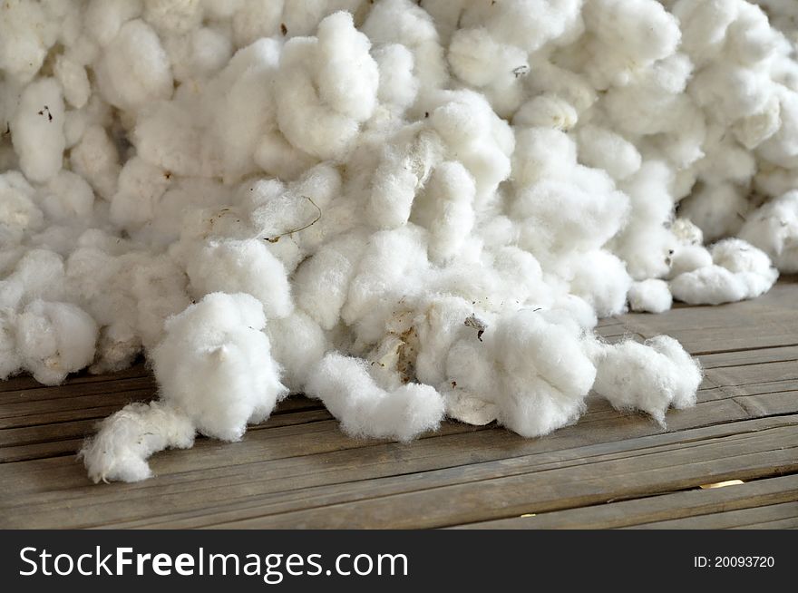 The pile of raw cotton together. In the agricultural sector. The pile of raw cotton together. In the agricultural sector.