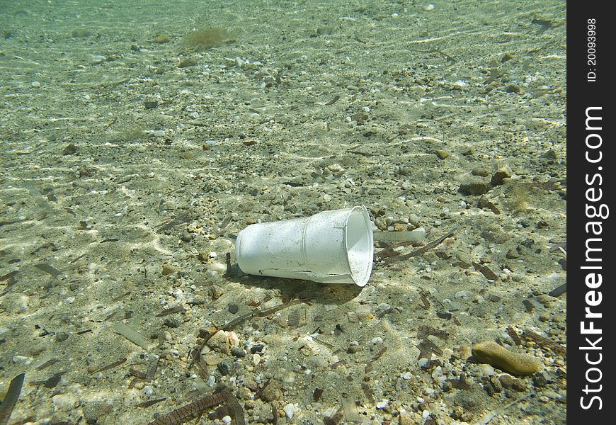 A plastic cup polluting the sea bed
