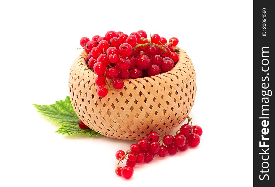 Red currant in a basket over white