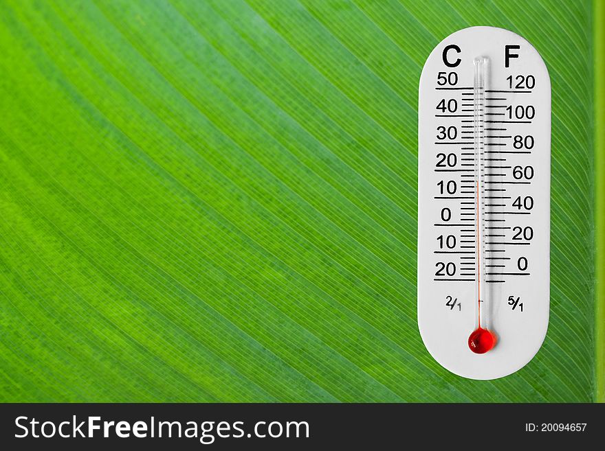 Thermometer on green leaf background