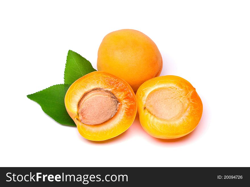 Apricot