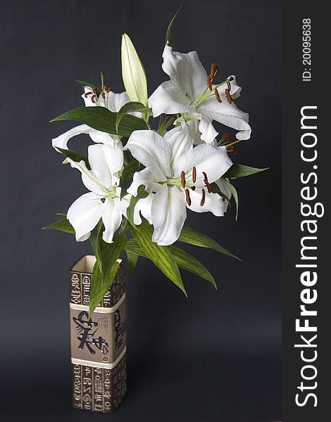 White bouquet of lilies on dark background. White bouquet of lilies on dark background