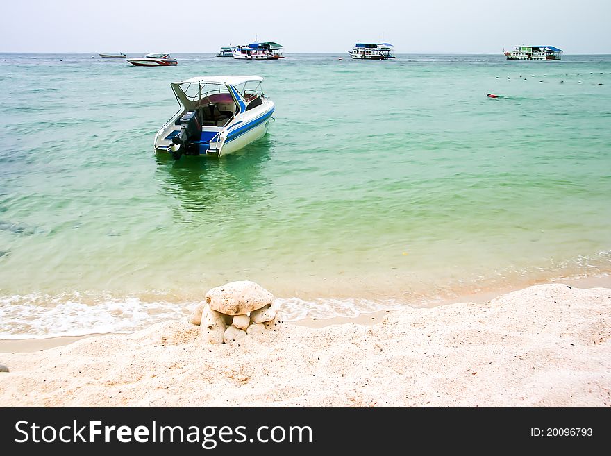 Speed ​​Boat Tour at the Island.