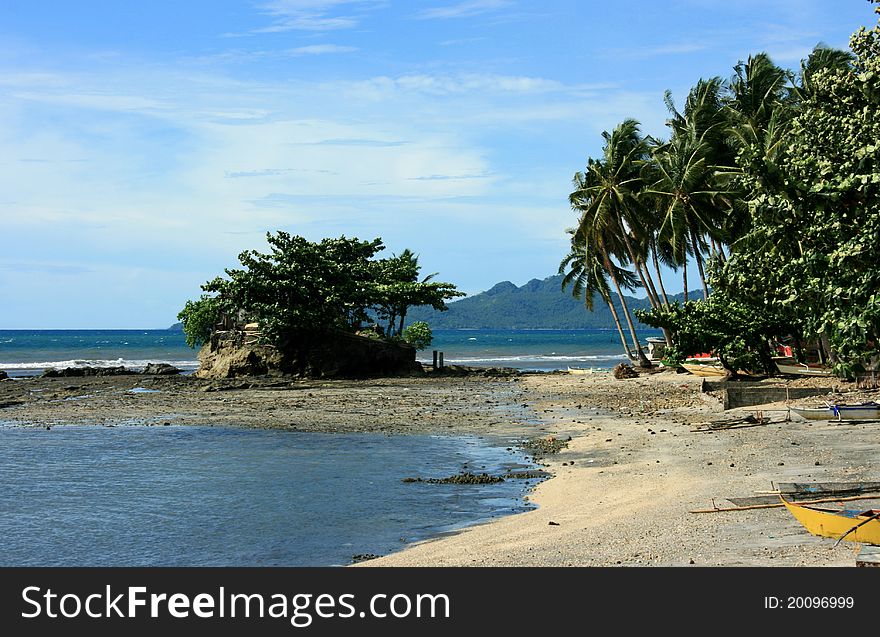 A Rocky Shore