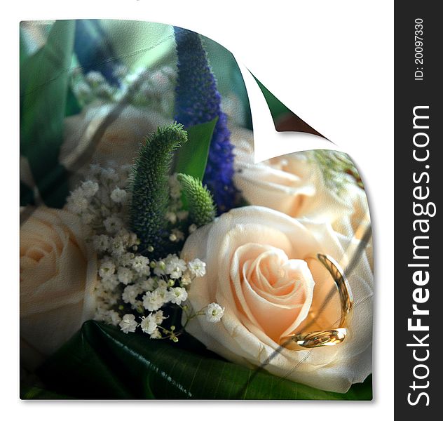 Card wedding bouquet and rings isolated. Card wedding bouquet and rings isolated