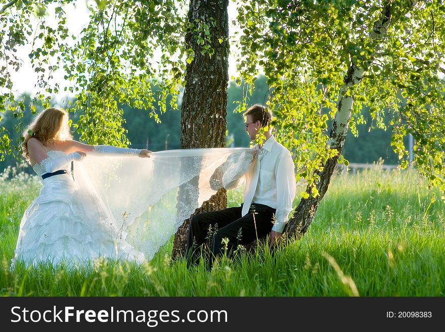 The bride and groom in the grass under the birch play with a veil. The bride and groom in the grass under the birch play with a veil