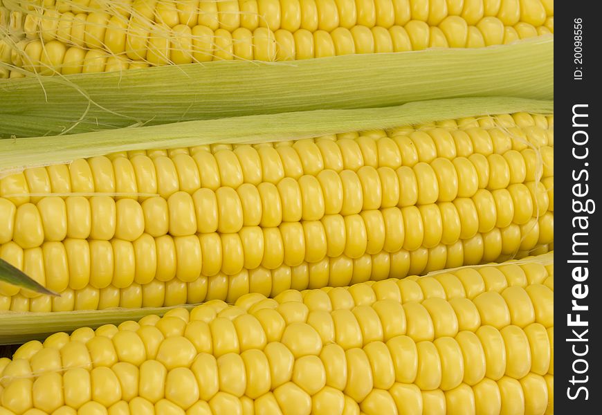 Fresh Corn