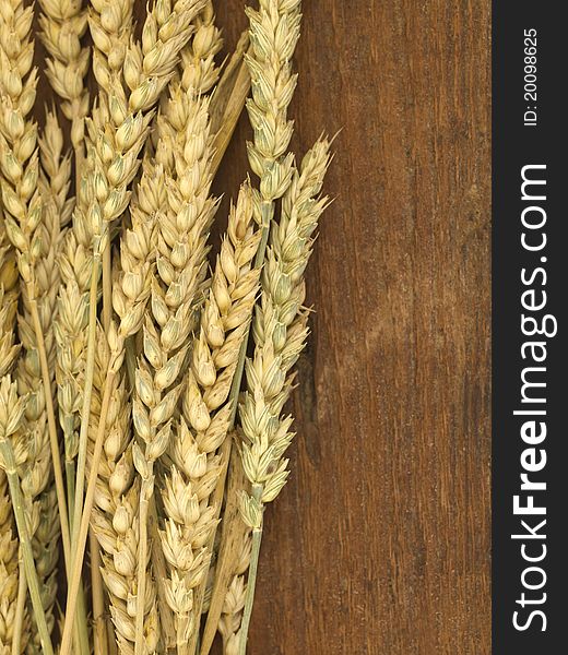 Yellow wheat on the wooden background