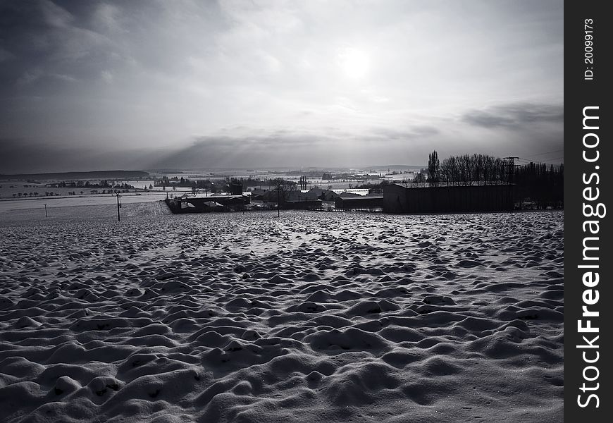 Black and white winter landscape