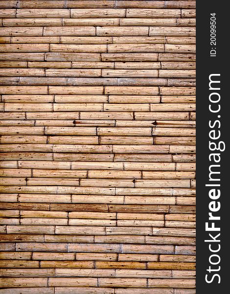 Tropical Bamboo Wall