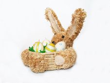 Rabbit Stock Image
