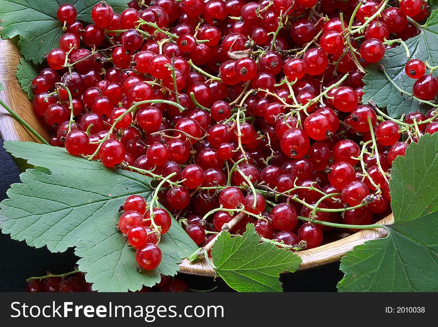 Red Currant On The Table