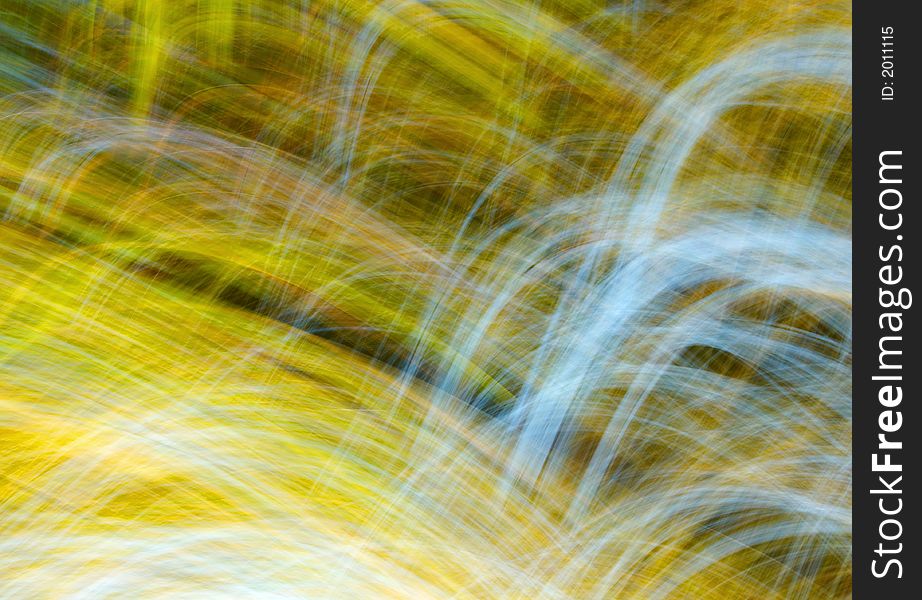 Autumn forest from frog perspective, only camera moving, rotating or panning  -no Photoshop blur!!!