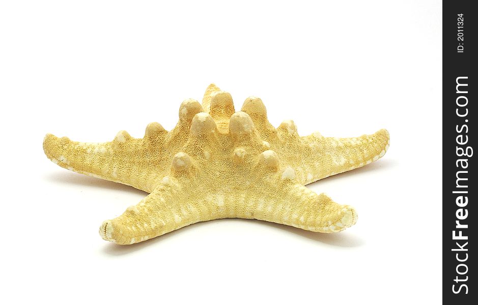 Starfish