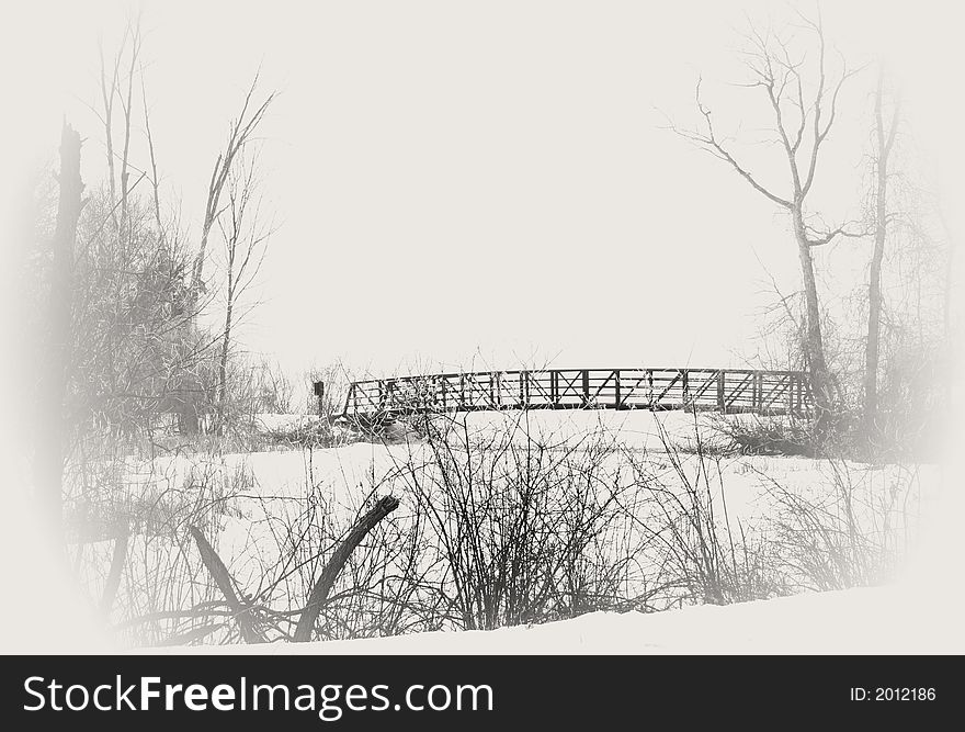 Winter scene in a park in black and white