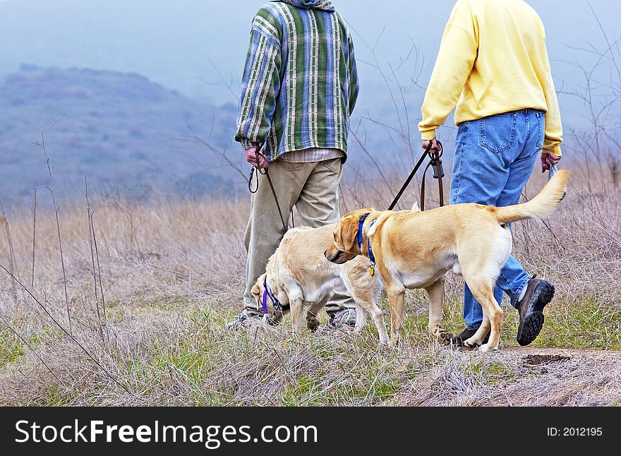 Two people walking the dogs
