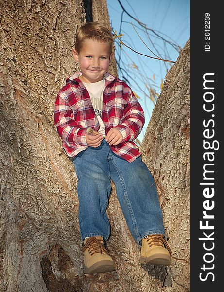 A boy in red in a tree