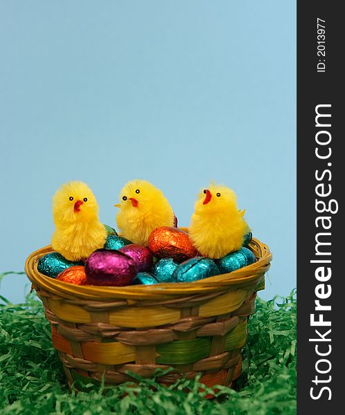 Coloured sweet  easter eggs and three chicken   on blue background