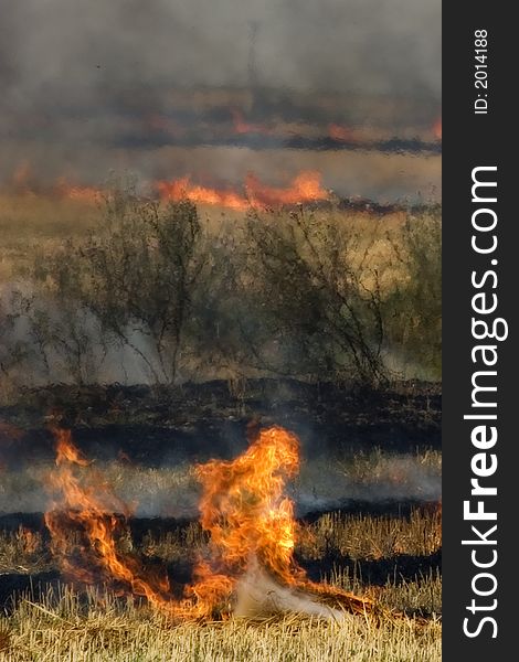 A burning field I have photographed in Romania, near the hungarian border