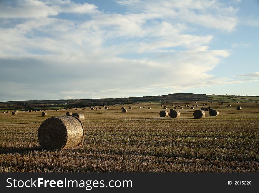 A field in the Highlands of Scotland with hay bales everywhere, on a late evening. A field in the Highlands of Scotland with hay bales everywhere, on a late evening.