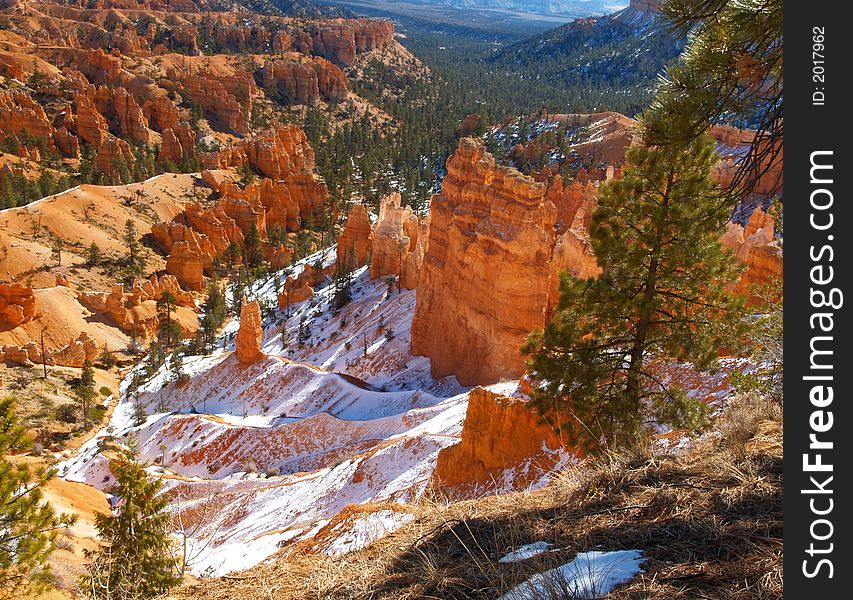 The Bryce Canyon National Park, Utah