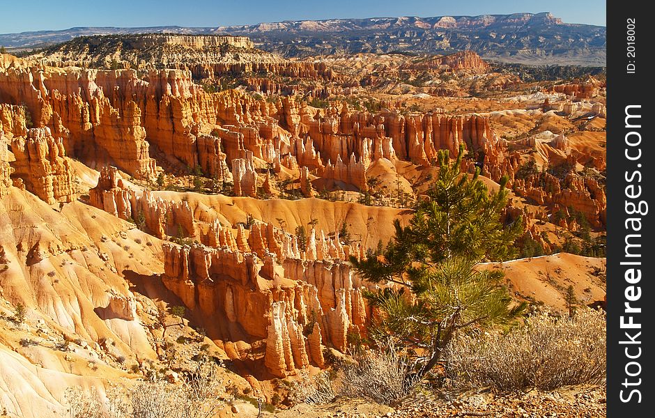 The Bryce Canyon National Park, Utah, USA