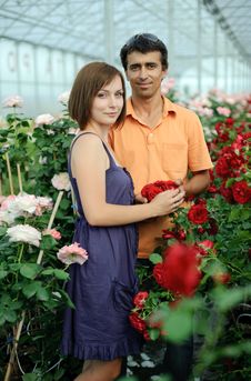In A Greenhouse Royalty Free Stock Photo In A Greenhouse Royalty Free Stock Photo