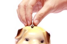 Female Hand With Coin And A Piggy Bank Royalty Free Stock Photos Female Hand With Coin And A Piggy Bank Royalty Free Stock Photos