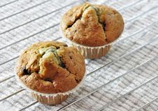 Two Blueberry Muffins Royalty Free Stock Photo Two Blueberry Muffins Royalty Free Stock Photo
