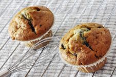 Two Blueberry Muffins Stock Photos Two Blueberry Muffins Stock Photos
