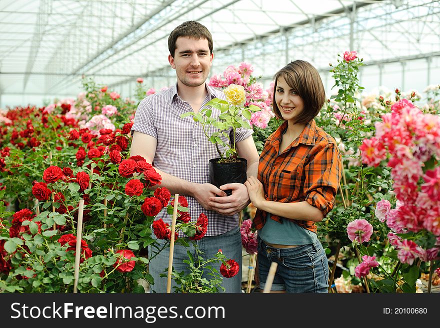 An image of a young couple in a greenhouse. An image of a young couple in a greenhouse