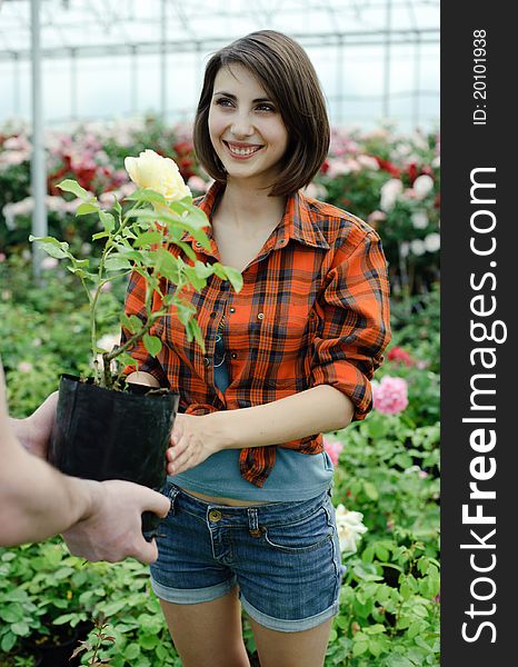 An image of a woman with a flower in her hands. An image of a woman with a flower in her hands