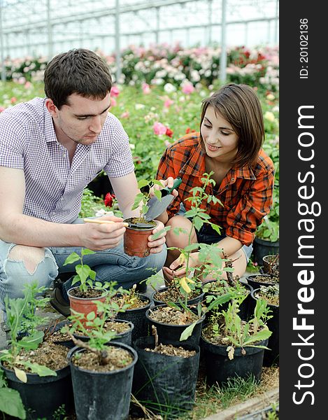 An image of a young couple working in a greenhouse. An image of a young couple working in a greenhouse
