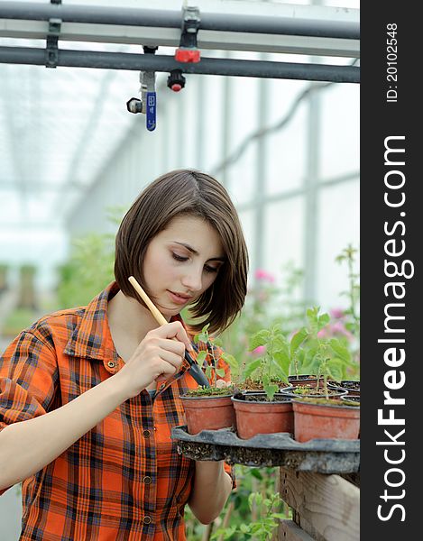 An image of a girl working in a greenhouse. An image of a girl working in a greenhouse