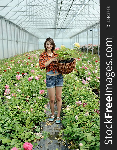 An image of a woman with a basket in a greenhouse. An image of a woman with a basket in a greenhouse