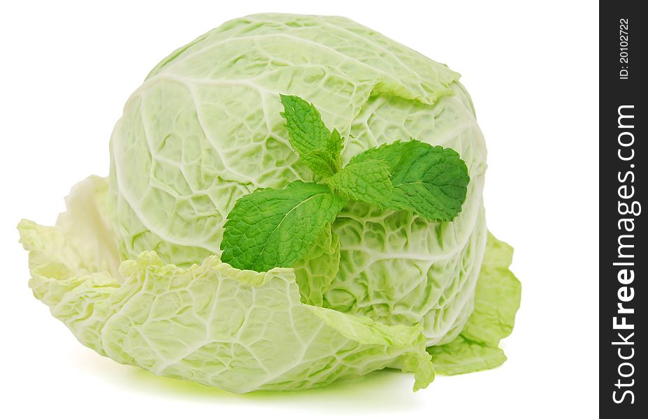 A white cabbage with a mint herb