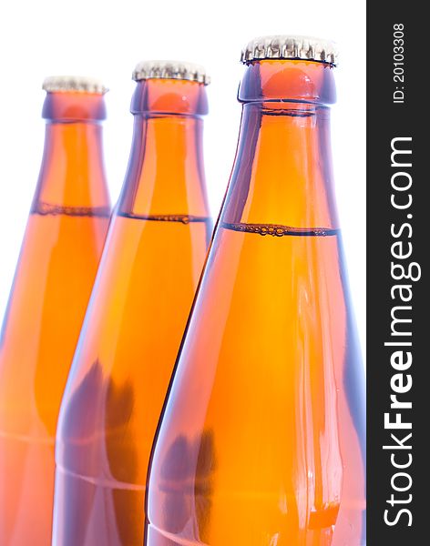 Beer bottles on the white background