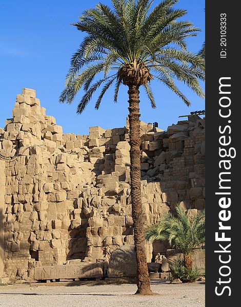 A detail of Karnak temple and palm tree on the side in Luxor, Egypt