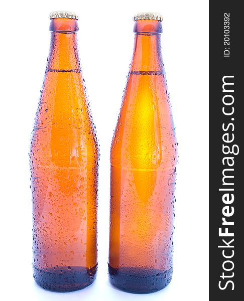 Beer bottles on the white background