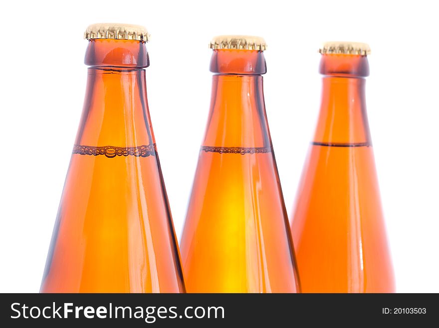 Beer bottles on the white background