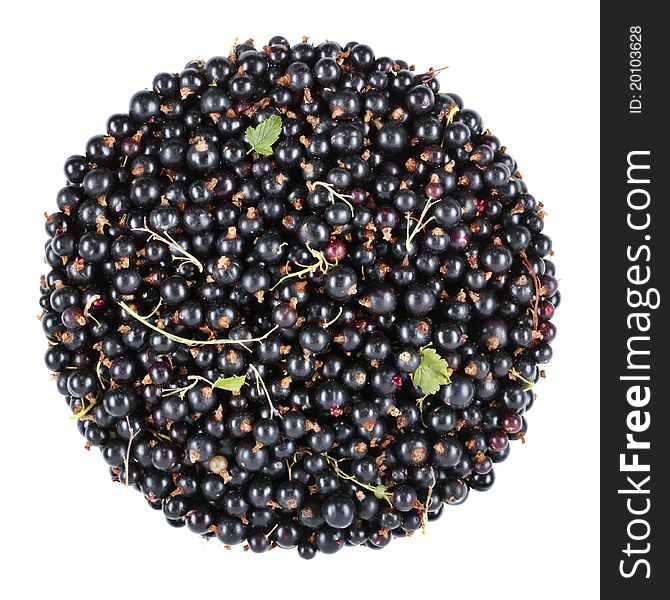 Blackcurrant Bunch