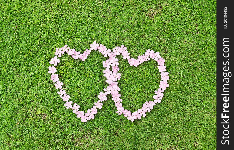 Pink flower love heart frame isolated on Green grass background