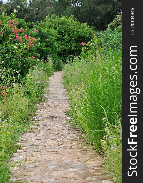 Path spread with stone and concrete in garden around green tree and grass, shown as approach, access, way and method. Path spread with stone and concrete in garden around green tree and grass, shown as approach, access, way and method.