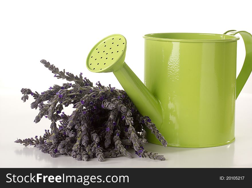 Purple lavender and a green watering can isolated on a white background. Purple lavender and a green watering can isolated on a white background.