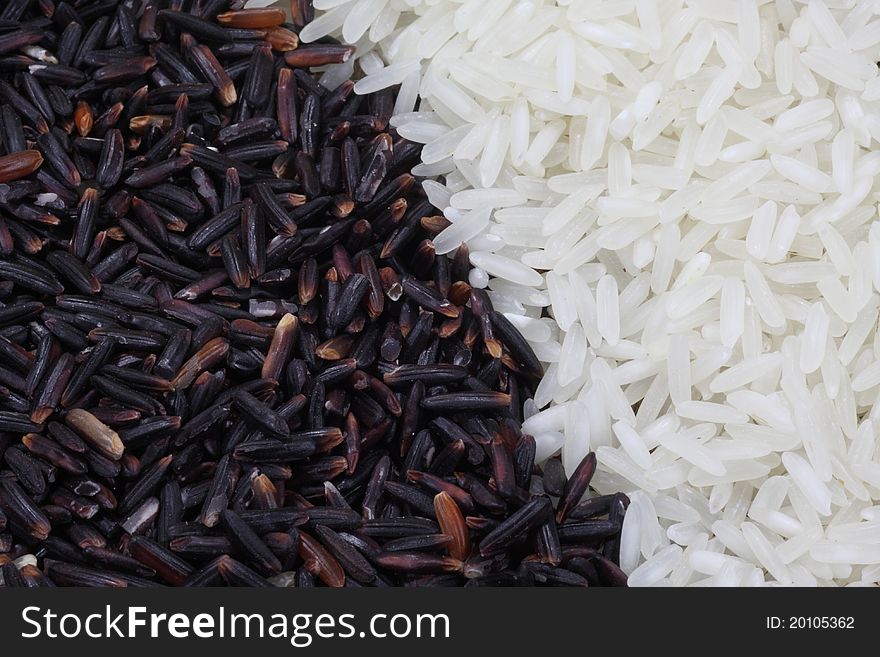 Raw Black rice grain capare with white rice grain.