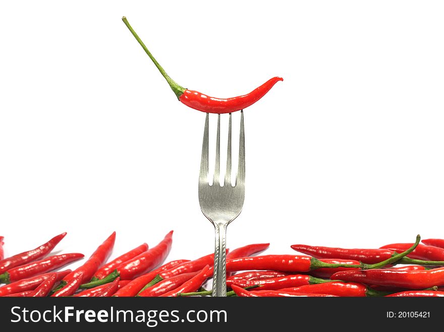 Fresh Red hot chili pepper on fork ,withe background.