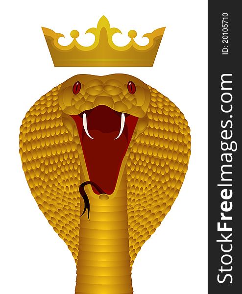 Gold poisonous snake. The illustration on white background. Gold poisonous snake. The illustration on white background.